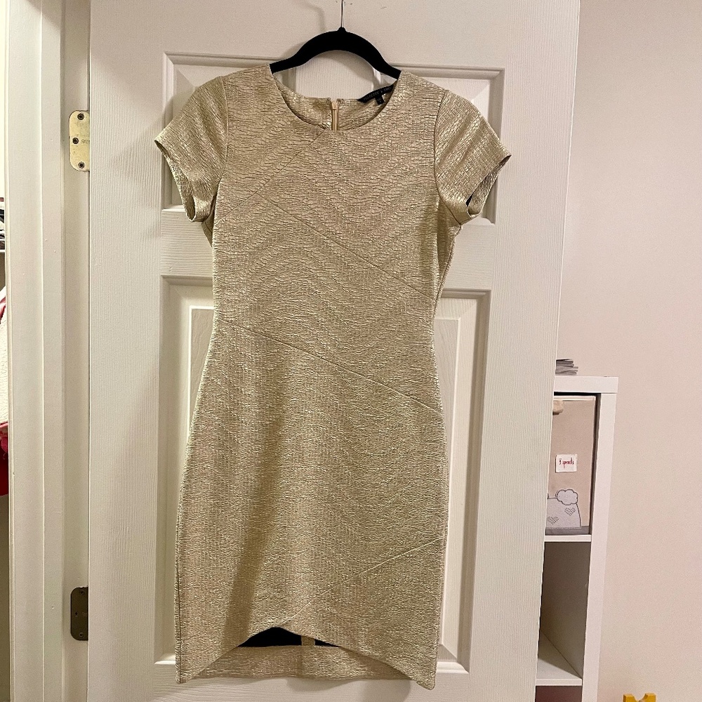 Felicity and Coco Dress